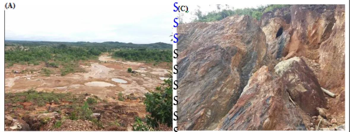 Gambar 2. Foto: (A) Lokasi penelitian dari Bukit Sambung Giri ke arah barat, (C) Singkapan batuan  metasedimen teralterasi kuat yang terekspose oleh penambangan bijih timah primer 