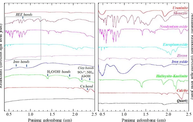Gambar 3. Tipikal spektral VNIR-SWIR nilai reflektansi normal (gambar kiri) dan reflektansi yang dinormalisasi  menggunakan  continuum  removal  (gambar  kanan)  mineral  umum,  REE,  dan  radioaktif  berdasar  basis  data  spektral USGS beserta identifika