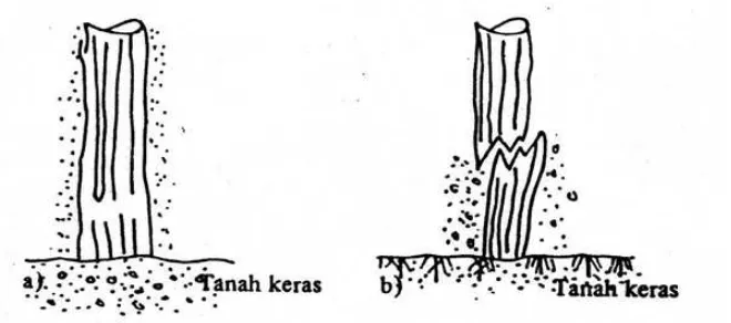Gambar 2.2 Tiang pancang kayu (Sardjono, 1991) 