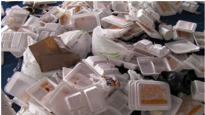 Gambar 2.3 Tumpukan Sampah Styrofoam 
