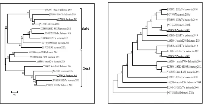 Gambar 1.  A. Pohonfilogenetik DENV-3 genotipe 1 berdasarkan nukleotida yang 