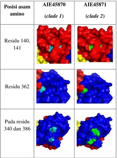 Tabel 2. Perbedaan struktur protein permukaan DENV-3 pada AIE45870 dan  AIE45871  Posisi asam  amino  AIE45870  (clade 1)  AIE45871 (clade 2)  Residu 140,  141  Residu 362  Pada residu   340 dan 386 
