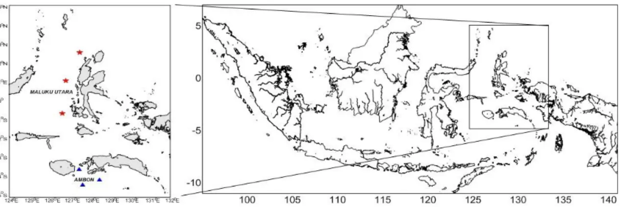 Gambar 1. Lokasi sampling tuna sirip kuning (Thunnus albacores) di Perairan Laut Maluku, Indonesia  (bintang merah = Maluku Utara, segitiga biru = di Ambon) 