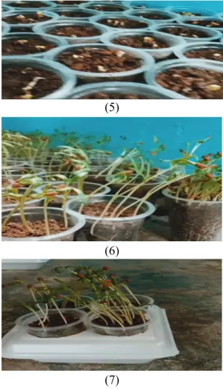 Gambar 2. Rancangan pembuatan  (7)  aquponik sederhana. 1) limbah anorganik  styrofoam sebagai wadah tanaman; 2) tanah 