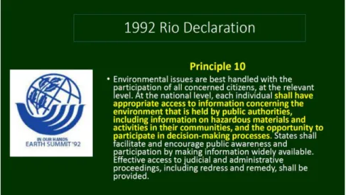 Gambar 2. Principle 10 Rio Declaration 