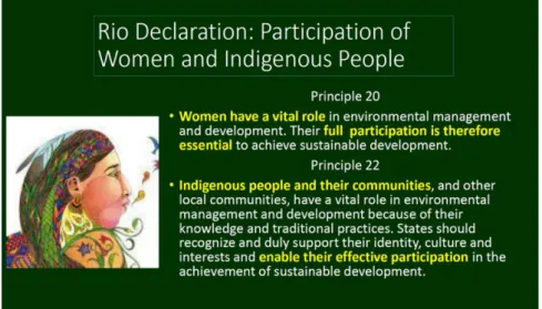 Gambar 3. Principle 20 dan Principle 22 Rio Declaration 