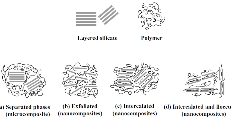 Gambar 2.4 Jenis-jenis komposit: a) mikrokomposit, fase terpisah;           (b) nanokomposit eksfoilasi ; (c) nanokomposit interkalasi;          (d) nanokomposit interkalasi dan flokulasi  