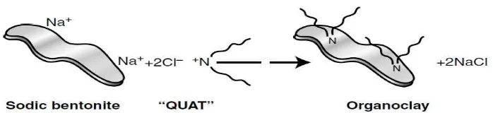 Gambar 2.6. Reaksi antara Garam Ammonium dengan Na-bentonit  