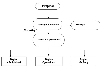 Gambar 1.2 Struktur Organisasi PT. Andalan Putra Logistics Medan Sumber : PT. Andalan Putra Logistics Medan (Agustus 2009) 
