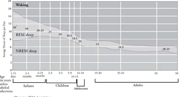 Gambar 1 : Perbandingan fase tidur NREM dan REM pada berbagai umur 