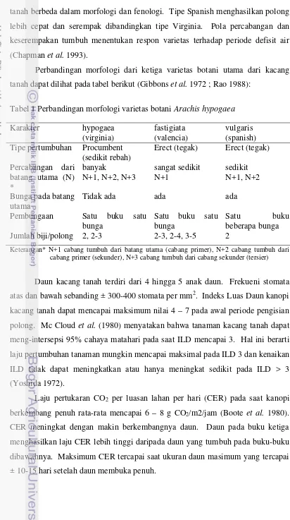 Tabel 1 Perbandingan morfologi varietas botani Arachis hypogaea 