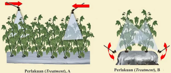 Gambar 2.   Penyemprotan pestisida pada tanaman kentang: perlakuan A (Posisi nozzle di atas tajuk  tanaman dan digerakkan ke depan dengan mantap) dan perlakuan B (posisi nozzle di bawah  dan diayunkan ke tanaman dengan sudut 45 o ) [Pesticide spraying on p