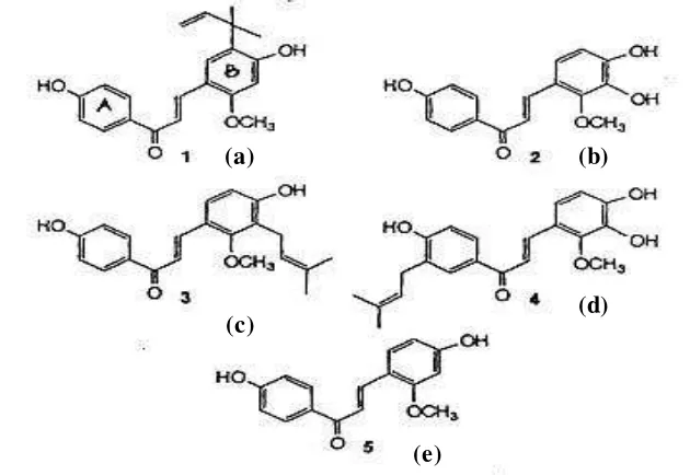 Gambar 2.2  Struktur licochalcone A (a), licochalcone B (b), licochalcone C  (c), licochalcone D (d), dan echinatin (e) (Haraguchi et al