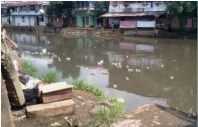 Gambar 4. Kondisi Sempadan Sungai 