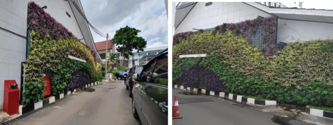 Gambar 3.19 Pengadaan Vertical Garden BPOM  