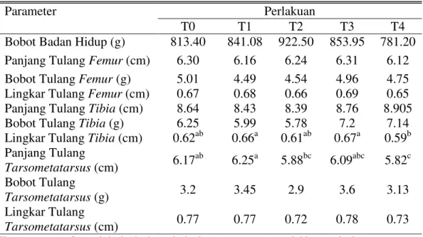 Tabel 2. Pengaruh    Penggunaan    Tepung Buah Jambu Biji Merah dalam     Ransum  terhadap  Bobot  Hidup,  Panjang,  lingkar,  dan  Bobot  Tulang Femur, Tibia , dan Tarsometatarsus