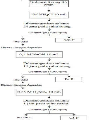 Gambar 2. Diagram alir penentuan fraksi phosphat (SEDEX).  Analisis Ukuran Butir Sedimen 