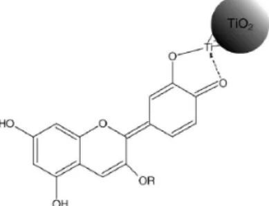 Gambar 2.8 Struktur molekul dari anthocyanin serta ikatan yang  terjadi di antara anthocyanin dan partikel TiO 2  (Hao, dkk, 2006) 