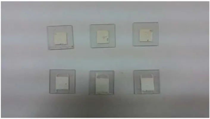 Gambar 3.12 Hasil layer fotoanoda yang telah dikalsinasi  3.3.4. Preparasi Larutan Elektrolit 