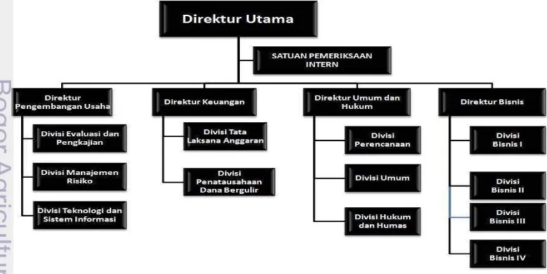 Gambar 5. Struktur organisasi LPDB-KUMKM (LPDB-KUMKM, 2014) 