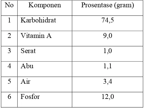 Gambar 2.1 Struktur Utama Biji Jagung 