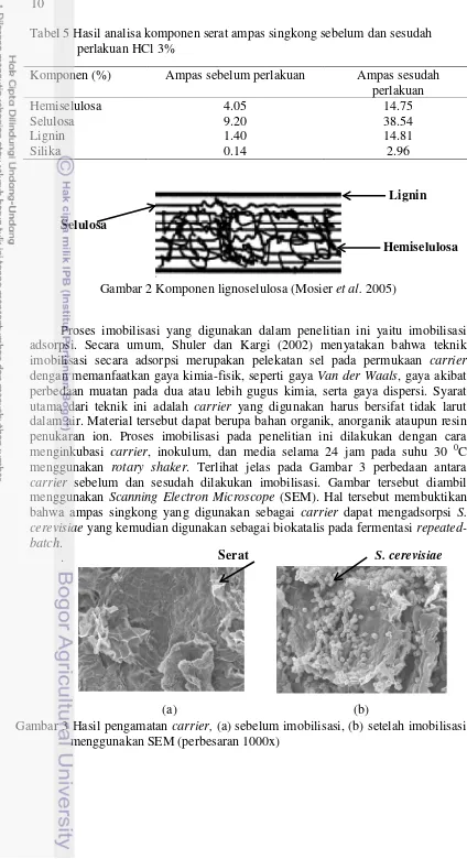 Tabel 5 Hasil analisa komponen serat ampas singkong sebelum dan sesudah 