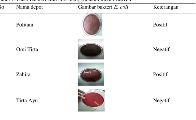 Tabel 7. Hasil Escherechia coli menggunakan media EMBA 