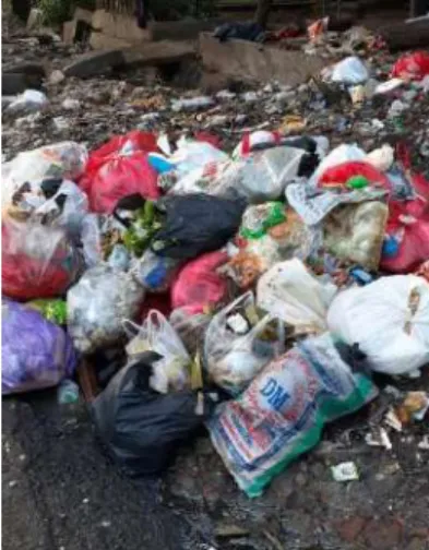 Gambar 3. Sampah organik dan sampah anorganik bercampur di tempat pembuanga sampah  daerah   RajaBasa Bandar Lampung dan belum dipilah