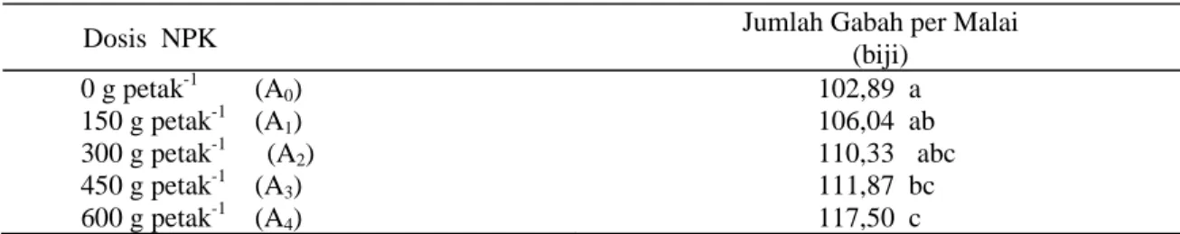 Tabel   5.   Pengaruh Pupuk  NPK  Terhadap Jumlah Gabah per Malai Tanaman Padi Pada Lahan Sawah 