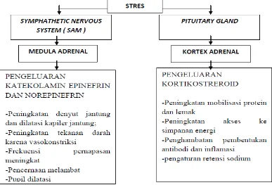 Gambar 2.11. Mekanisme Persarafan Simpatis Terhadap Respon Stres. (Guyton, 2007) 