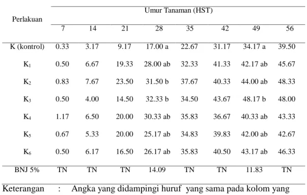 Tabel  3  menunjukkan  pada  umur  28  dan  49  HST  jumlah  anakan  per  pot  terbanyak pada perlakuan K3 (50% kompos brangkasan kacang tanah + 50% kompos  jerami)  berturut-turut  sebesar  32,33  dan  48,17  serta  tidak  berbeda  nyata  dengan  semua pe