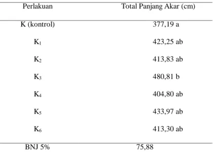 Tabel  4  total  panjang  akar  tertinggi  pada  perlakuan  K3  (50%  brangkasan  kacang tanah + 50% jerami) sebesar 480, 81 cm berbeda nyata dengan perlakuan K  (kontrol) tetapi tidak berbeda nyata dengan perlakuan yang lain