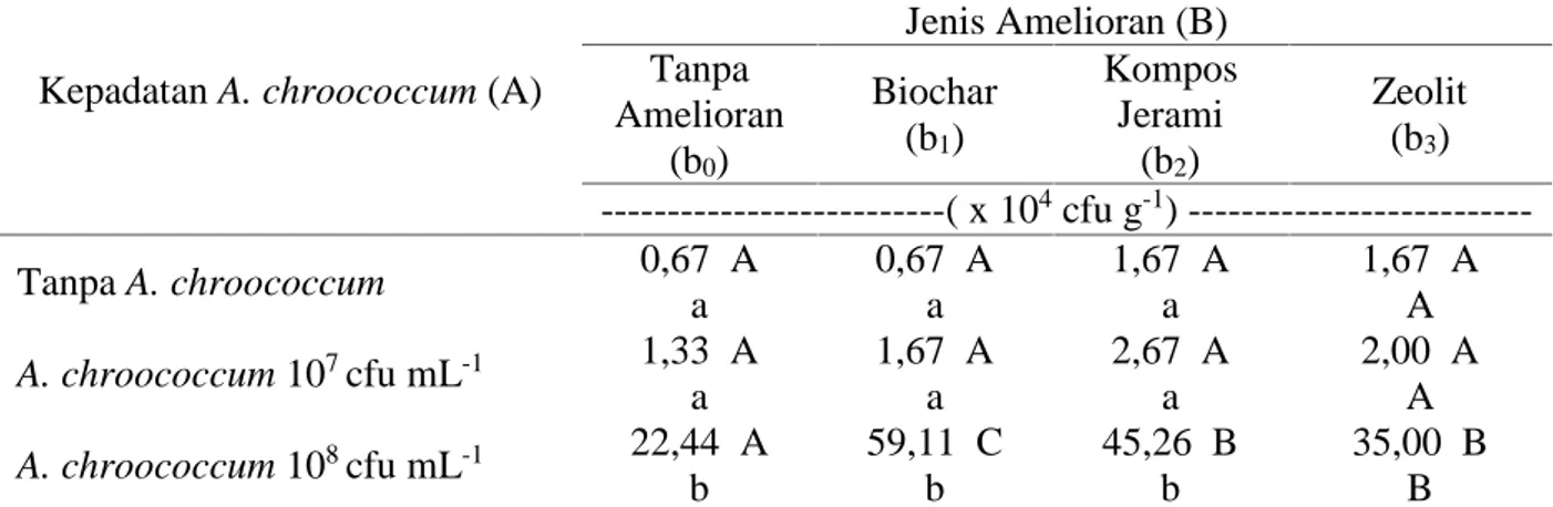 Tabel 2.  Pengaruh  Kepadatan A.  chroococcum dan  Amelioran  terhadap  Populasi  Total A.