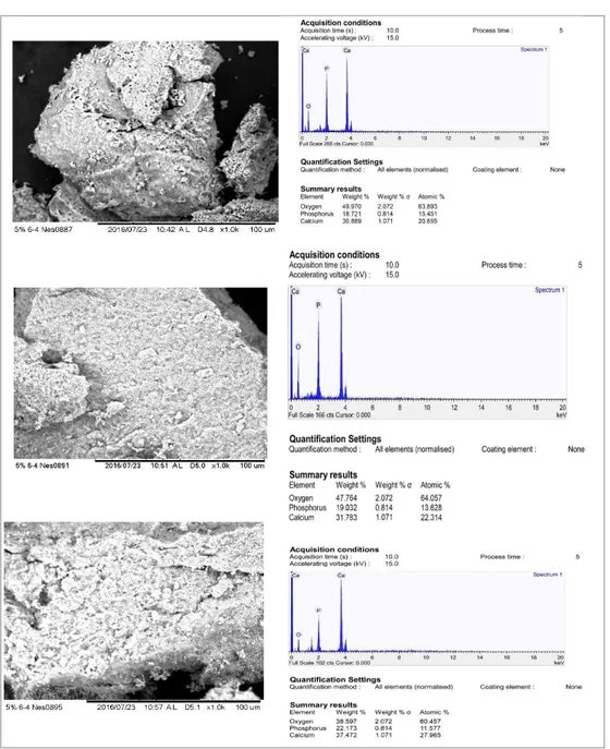 Gambar 3. Morfologi dengan perbesaran 1000× (kiri) dan komposisi unsur (kanan) HA dari sintering pada (a) 
