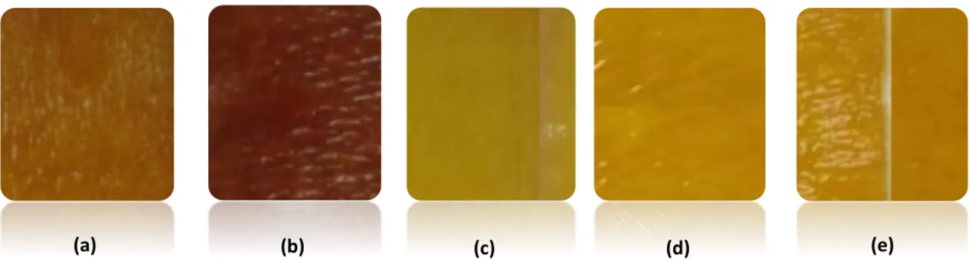 Tabel 2 Hasil Uji kuantitaif boraks pada sampel menggunakan spektrofotometer UV-Vis  Nomor  Kode Sampel  Keterangan  Hasil Uji Kuantitatif (µg/mL) 