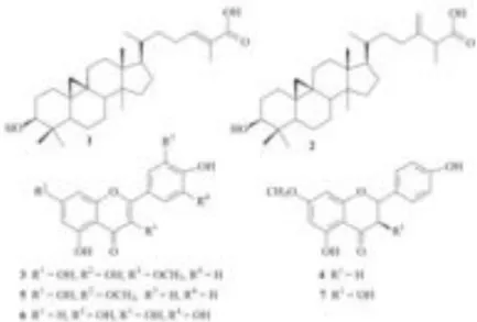 Gambar 2.4 Triterpen dan flavonoid yang terdapat pada propolis yang dihasilkan  oleh T