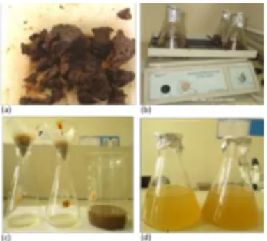 Gambar 3.1 Proses ekstraksi propolis. (a) Propolis; (b) incubator shaker; (c)  penyaringan; (d) hasil ekstrak propolis dalam ethanol  