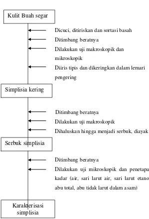 Gambar 3. Bagan Pemeriksaan Karakterisasi Simplisia Kulit Buah dari Tanaman Jengkol (Pithecellobium lobatum Benth) 