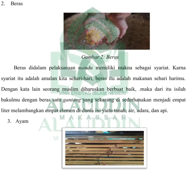 Gambar 3: Ayam yang dikurung    