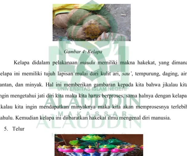 Gambar 4: Kelapa 