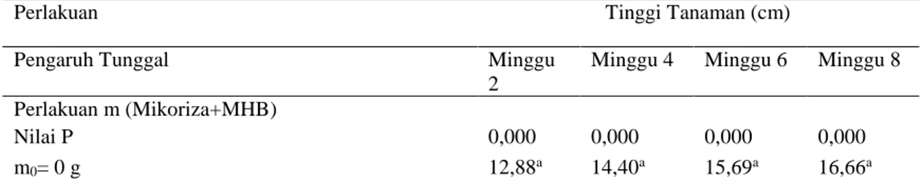 Tabel 3. Pengaruh mikoriza+MHB dengan pupuk kandang kambing terhadap rerata tinggi bibit kakao  (Theobroma cacao L.) 