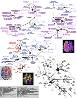 Fig. 2. Graph of latent factors for neuroimaging measures constructed by CorEx. Colors denotehemisphere.Numbers in red mark latent factors that were signieigenvalue; Normtheory measures;variable types (purple = gray matter (GM) thickness, volume and surface area; blue = graph red = spectral graph theory measures; black = white matter ROI measures).ﬁcantly associated with cognitive decline; eig = = normalized; CC = clustering coefﬁcient; L = left hemisphere; R = right (Color ﬁgure online)