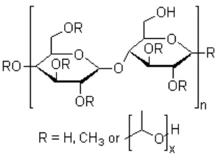 Gambar 2.5. Struktur kimia HPMC (Khairunnisya, 2011). 