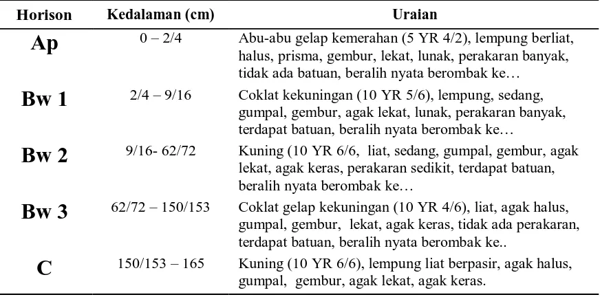 Tabel 3. Morfologi Profil 2 di Arboretum USU Kwala Bekala, Kecamatan Pancur Batu,  Kabupaten Deli Serdang 