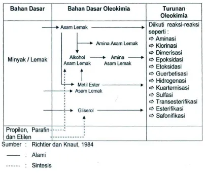 Tabel 2.2 Diagram Alur Oleokimia 