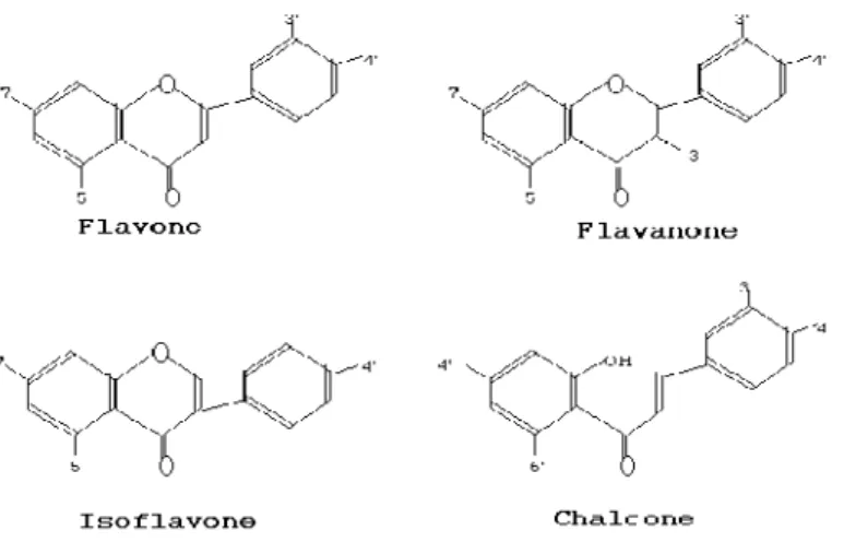 Gambar : 2.3 Struktur flavonoid