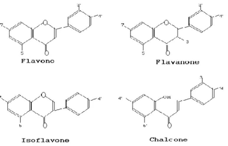 Gambar : 2.3 Struktur flavonoid