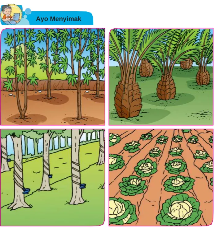 Gambar 3.1 Aneka tanaman 