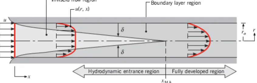 Gambar 2.10 Pembentukan Boundary Layer Pada Circular Tube 