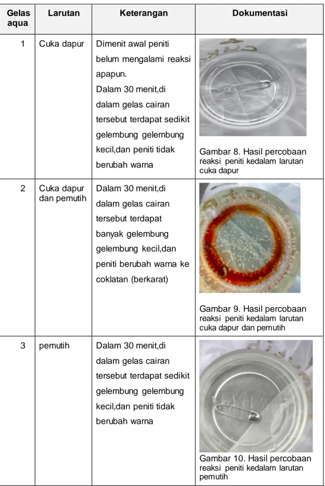 Gambar 8. Hasil percobaan  reaksi  peniti kedalam larutan  cuka dapur
